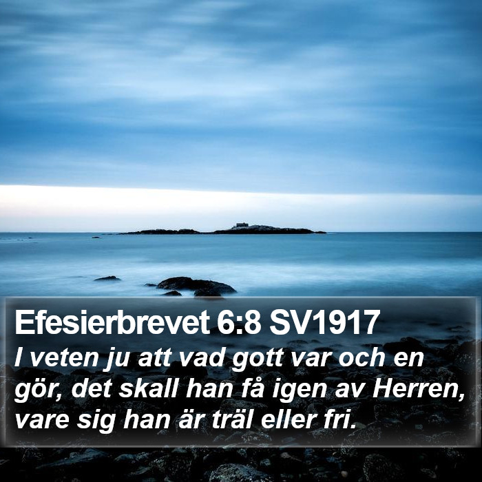 Efesierbrevet 6:8 SV1917 Bible Study