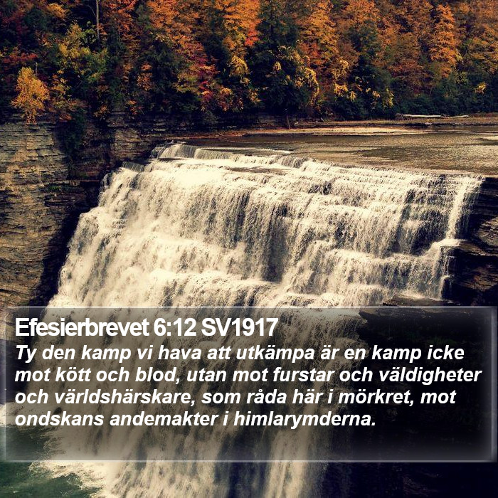 Efesierbrevet 6:12 SV1917 Bible Study