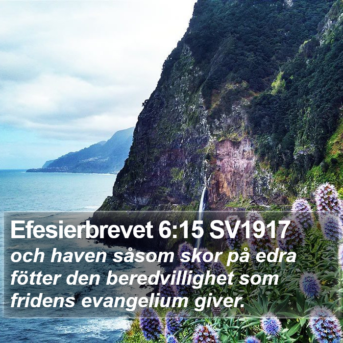 Efesierbrevet 6:15 SV1917 Bible Study