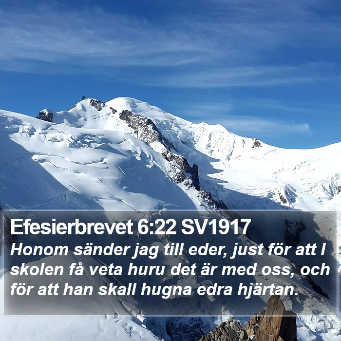 Efesierbrevet 6:22 SV1917 Bible Study