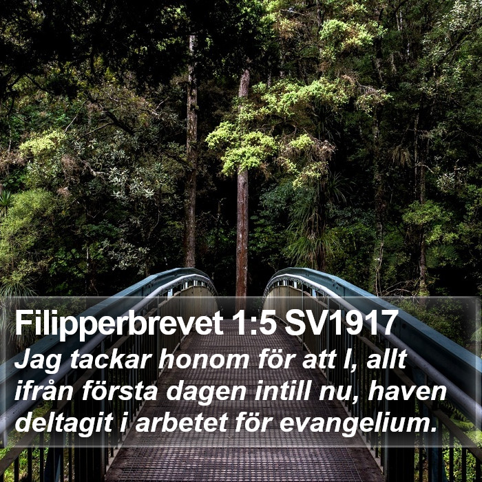 Filipperbrevet 1:5 SV1917 Bible Study