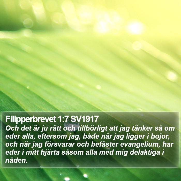 Filipperbrevet 1:7 SV1917 Bible Study