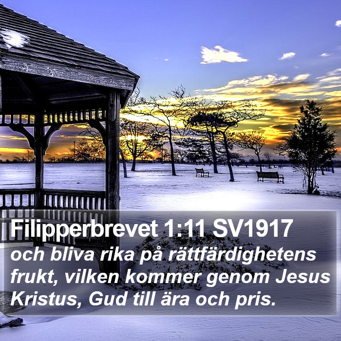 Filipperbrevet 1:11 SV1917 Bible Study