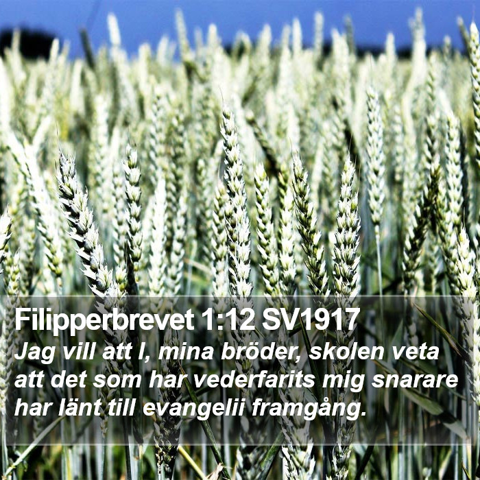 Filipperbrevet 1:12 SV1917 Bible Study