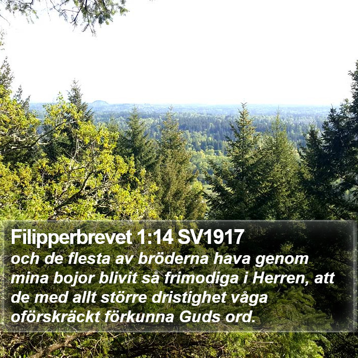 Filipperbrevet 1:14 SV1917 Bible Study