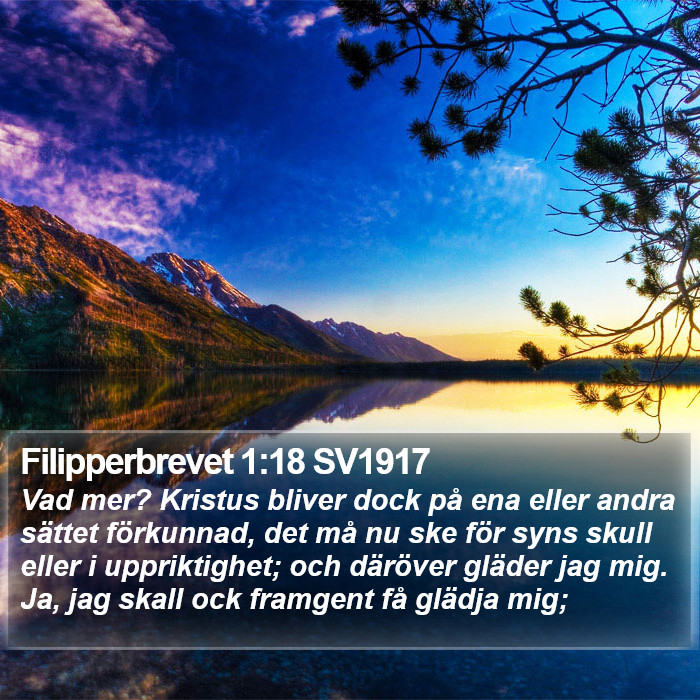 Filipperbrevet 1:18 SV1917 Bible Study