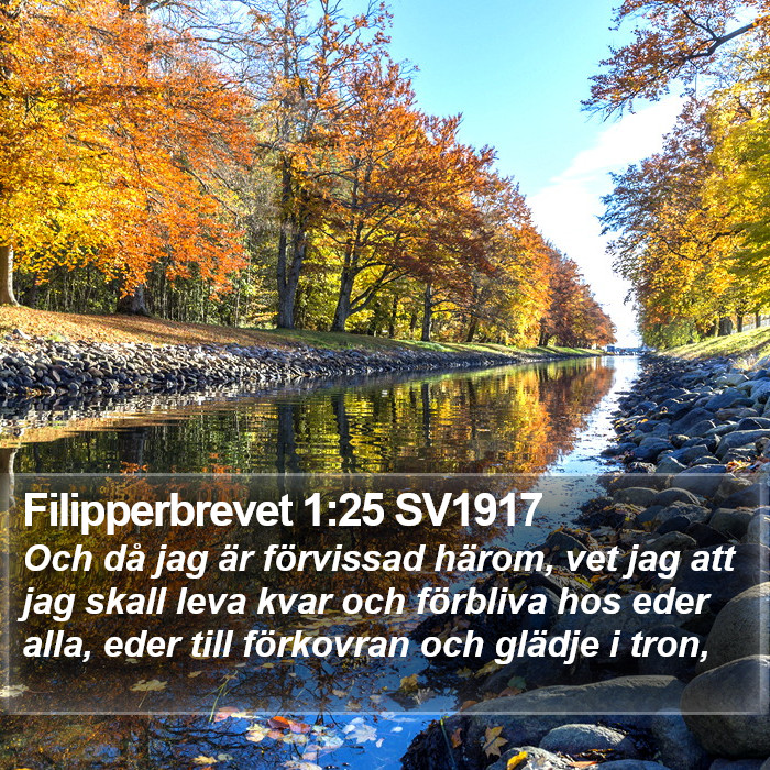 Filipperbrevet 1:25 SV1917 Bible Study