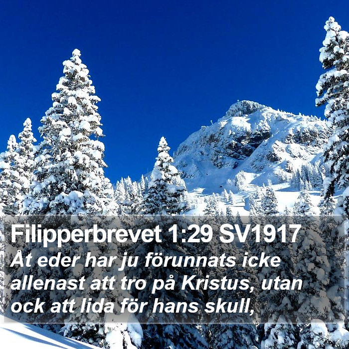 Filipperbrevet 1:29 SV1917 Bible Study