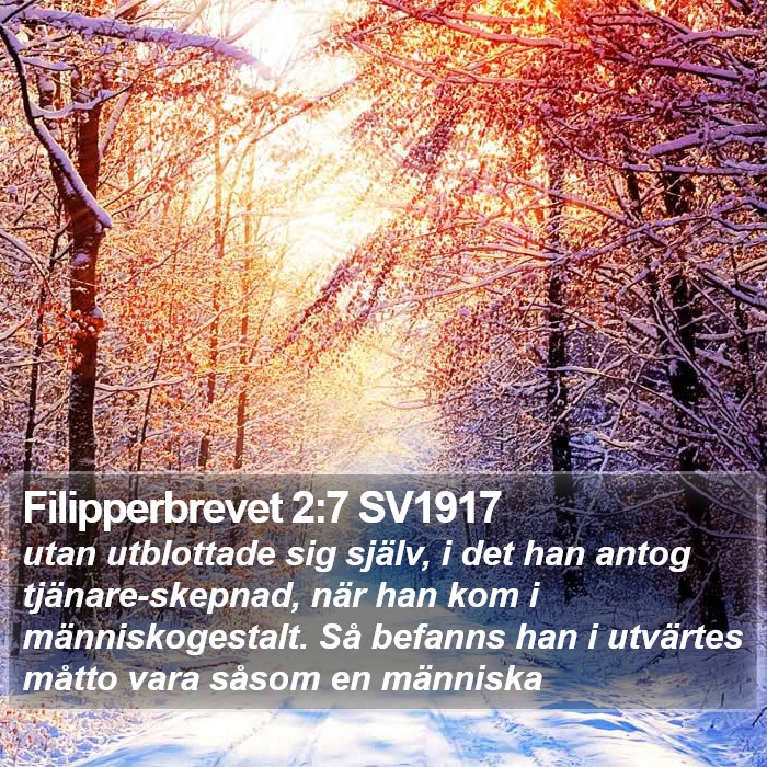 Filipperbrevet 2:7 SV1917 Bible Study