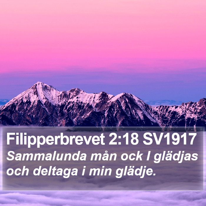 Filipperbrevet 2:18 SV1917 Bible Study