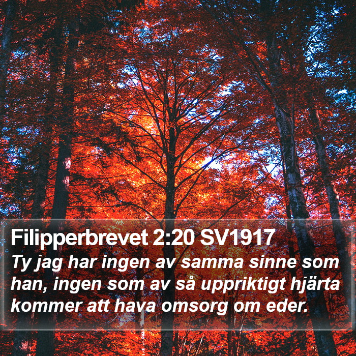 Filipperbrevet 2:20 SV1917 Bible Study