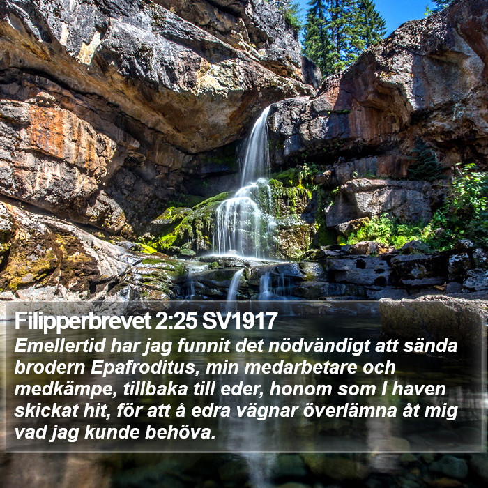 Filipperbrevet 2:25 SV1917 Bible Study