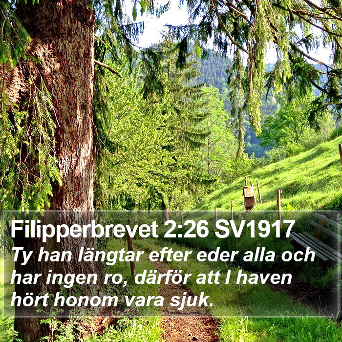 Filipperbrevet 2:26 SV1917 Bible Study