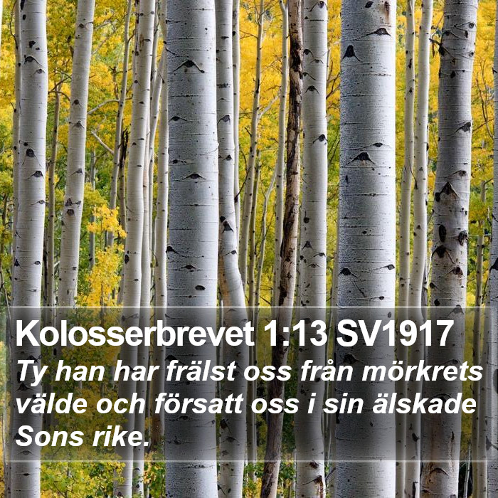 Kolosserbrevet 1:13 SV1917 Bible Study