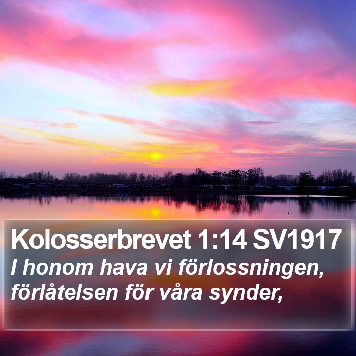 Kolosserbrevet 1:14 SV1917 Bible Study