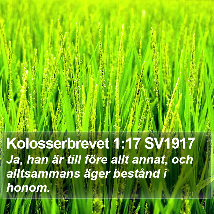 Kolosserbrevet 1:17 SV1917 Bible Study