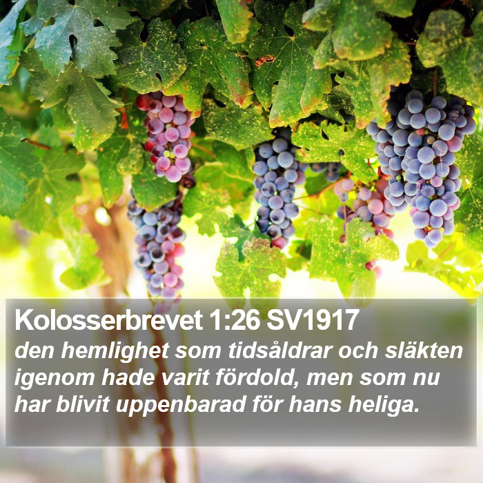 Kolosserbrevet 1:26 SV1917 Bible Study