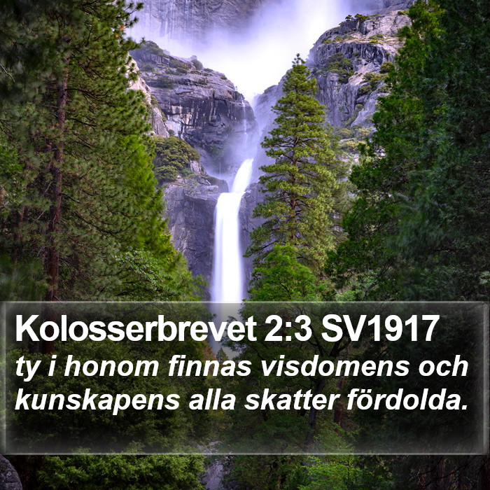 Kolosserbrevet 2:3 SV1917 Bible Study