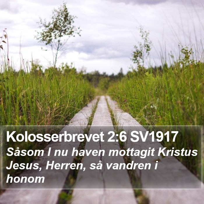 Kolosserbrevet 2:6 SV1917 Bible Study