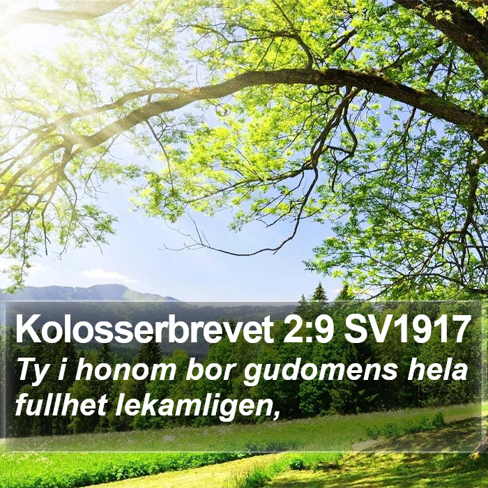 Kolosserbrevet 2:9 SV1917 Bible Study
