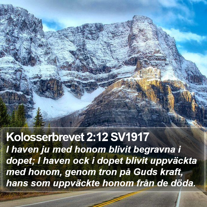 Kolosserbrevet 2:12 SV1917 Bible Study