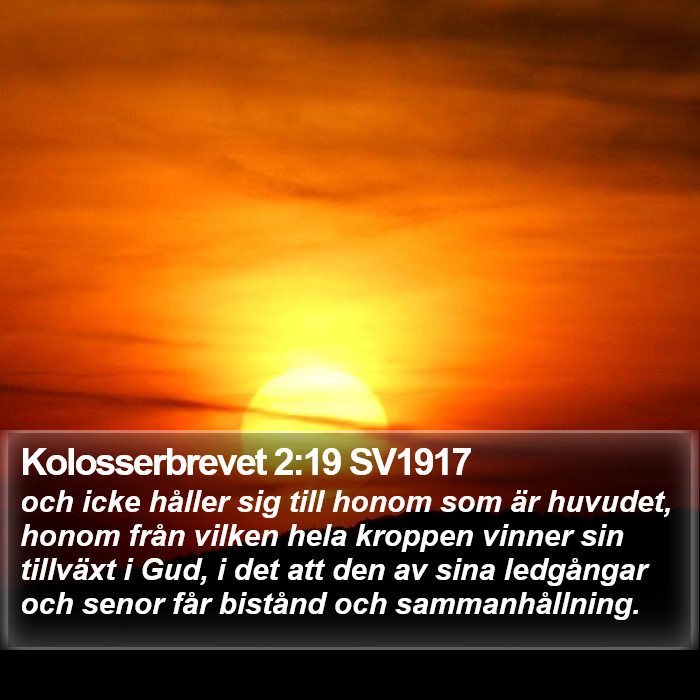 Kolosserbrevet 2:19 SV1917 Bible Study