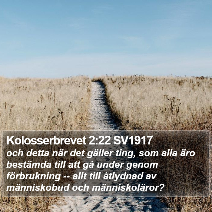 Kolosserbrevet 2:22 SV1917 Bible Study