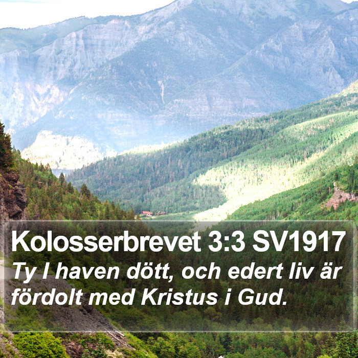 Kolosserbrevet 3:3 SV1917 Bible Study