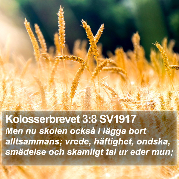 Kolosserbrevet 3:8 SV1917 Bible Study