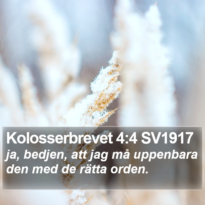 Kolosserbrevet 4:4 SV1917 Bible Study