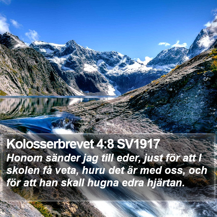 Kolosserbrevet 4:8 SV1917 Bible Study