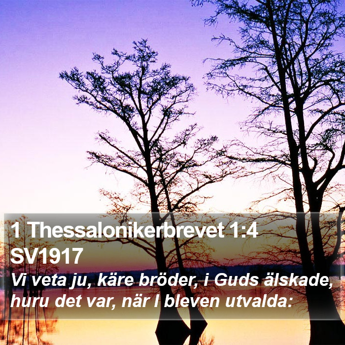 1 Thessalonikerbrevet 1:4 SV1917 Bible Study