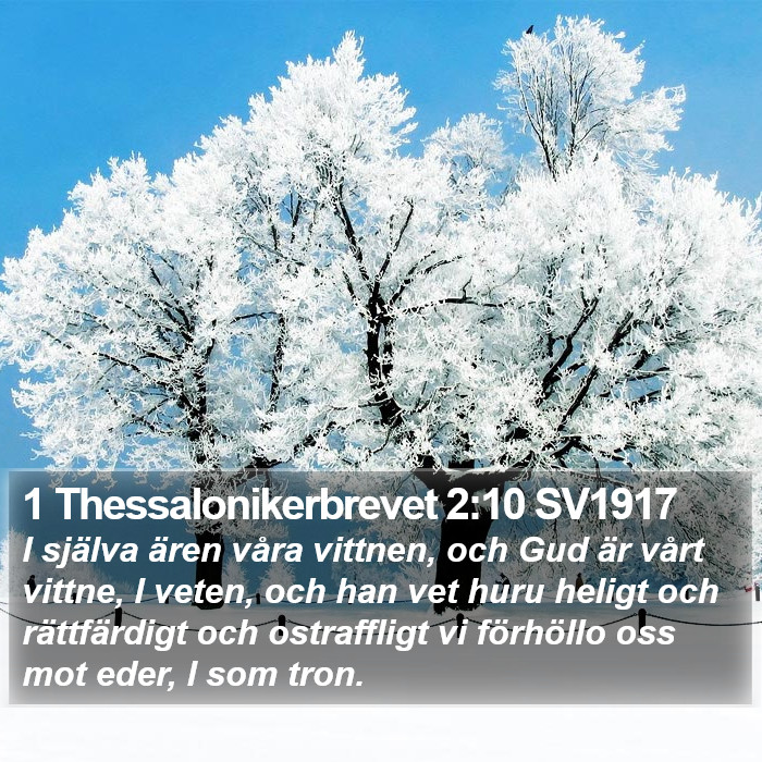 1 Thessalonikerbrevet 2:10 SV1917 Bible Study