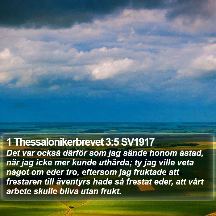 1 Thessalonikerbrevet 3:5 SV1917 Bible Study