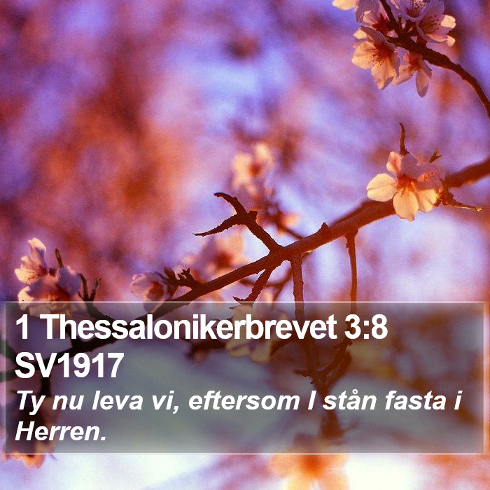 1 Thessalonikerbrevet 3:8 SV1917 Bible Study