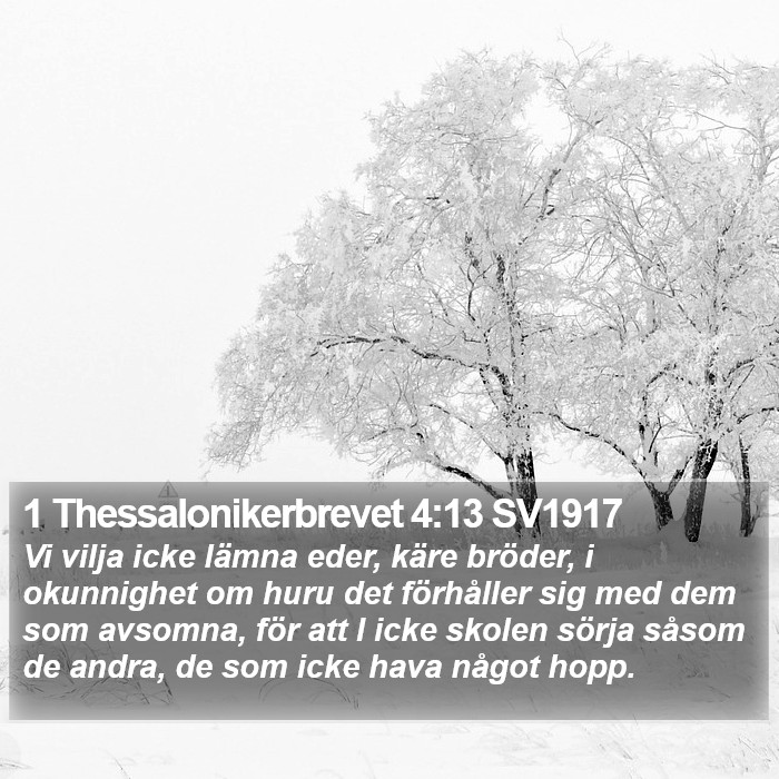 1 Thessalonikerbrevet 4:13 SV1917 Bible Study