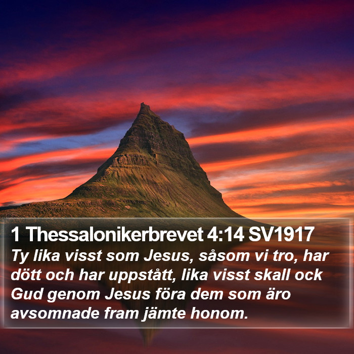 1 Thessalonikerbrevet 4:14 SV1917 Bible Study