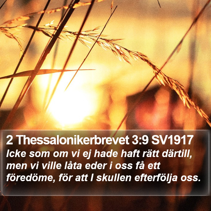 2 Thessalonikerbrevet 3:9 SV1917 Bible Study