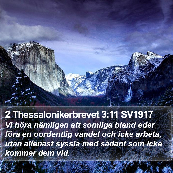 2 Thessalonikerbrevet 3:11 SV1917 Bible Study