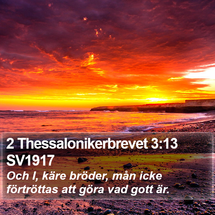 2 Thessalonikerbrevet 3:13 SV1917 Bible Study