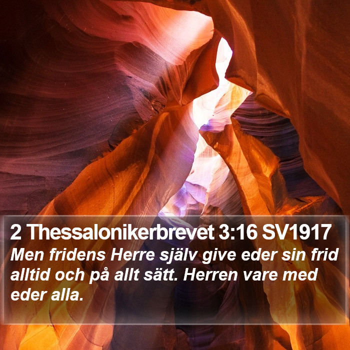 2 Thessalonikerbrevet 3:16 SV1917 Bible Study