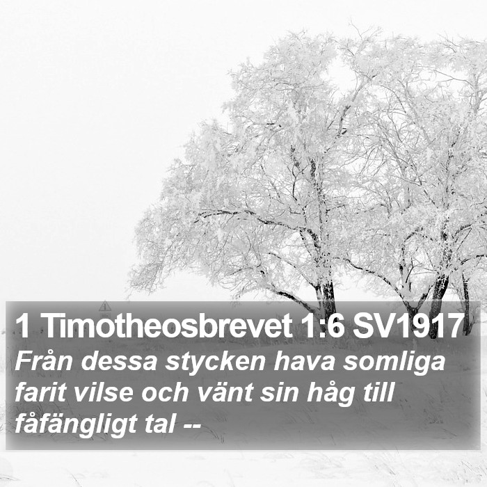 1 Timotheosbrevet 1:6 SV1917 Bible Study