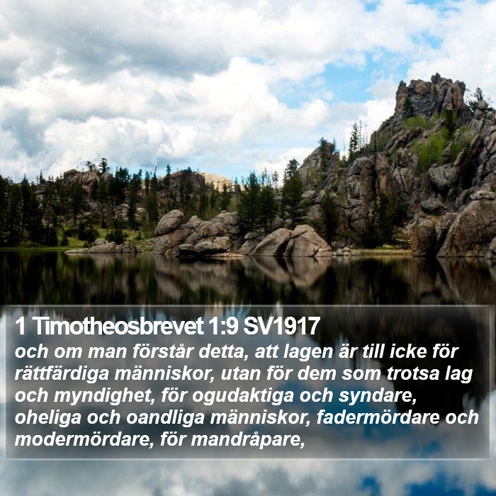 1 Timotheosbrevet 1:9 SV1917 Bible Study