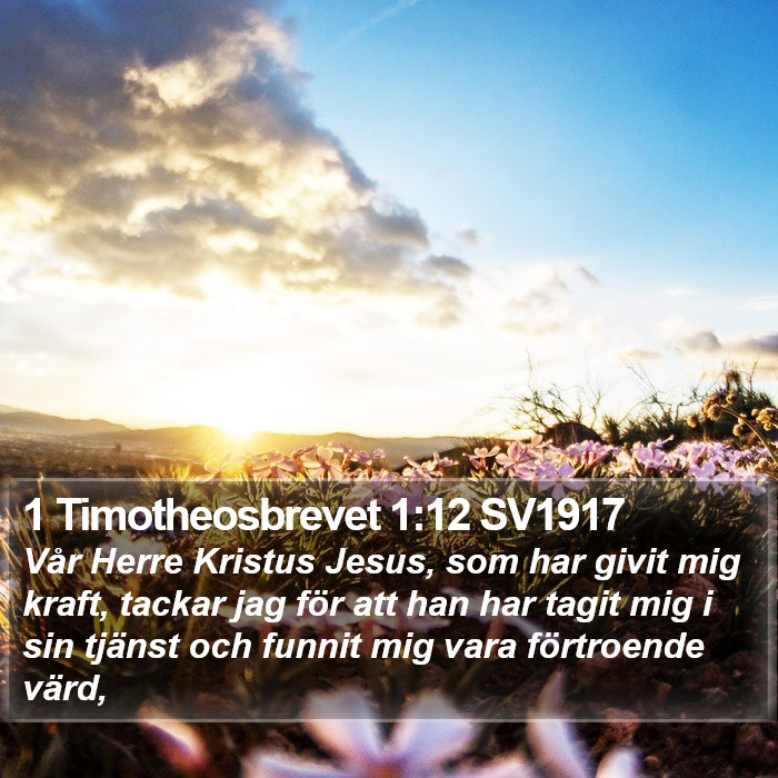 1 Timotheosbrevet 1:12 SV1917 Bible Study