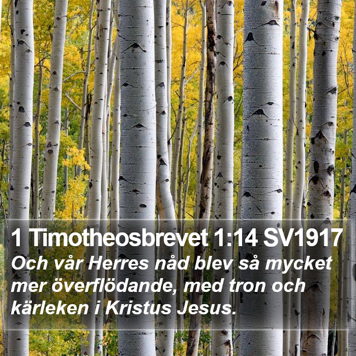 1 Timotheosbrevet 1:14 SV1917 Bible Study