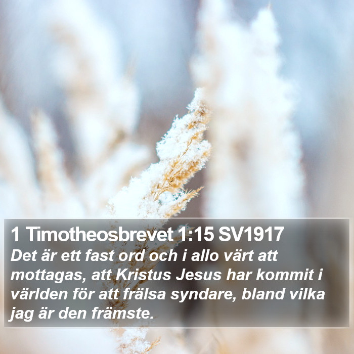 1 Timotheosbrevet 1:15 SV1917 Bible Study