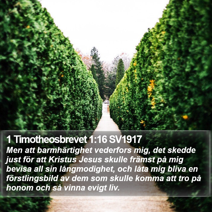 1 Timotheosbrevet 1:16 SV1917 Bible Study