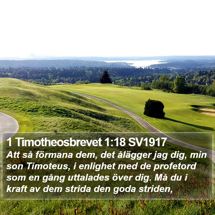 1 Timotheosbrevet 1:18 SV1917 Bible Study