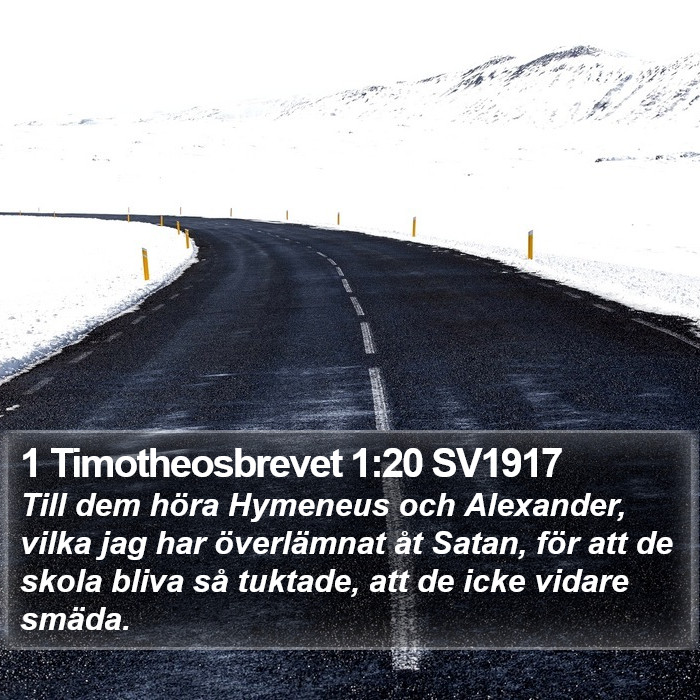 1 Timotheosbrevet 1:20 SV1917 Bible Study