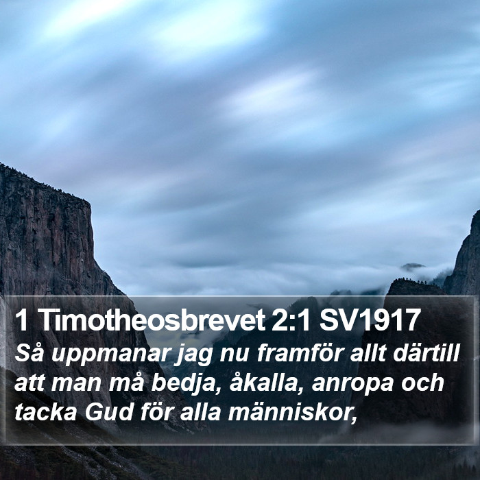 1 Timotheosbrevet 2:1 SV1917 Bible Study